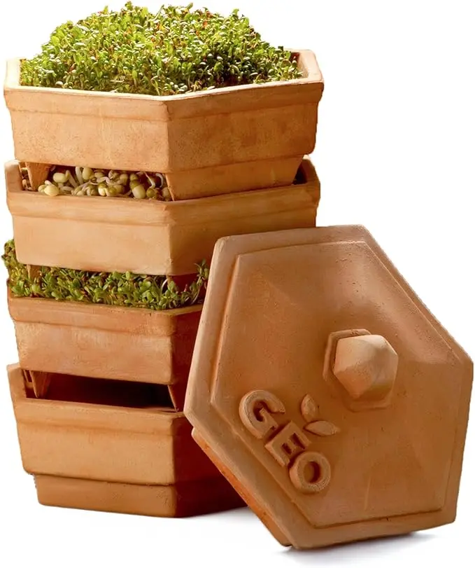 nachhaltige Keimgeräte im Vergleich: Das italienische Geo TerradiSiena Keimgerät aus toskanischer Terrakotta.