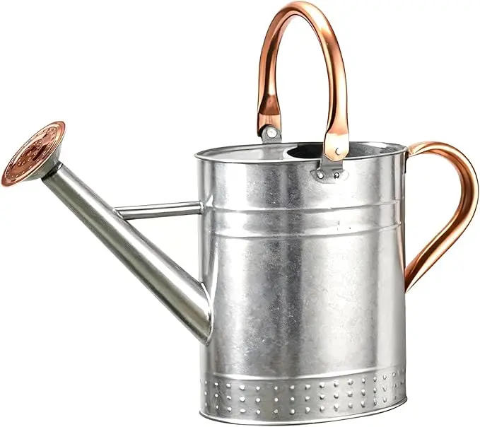 nachhaltige Gießkannen im Vergleich: Die Bamworld Gießkanne aus verzinktem Stahl mit langer Tülle für Zimmerpflanzen.