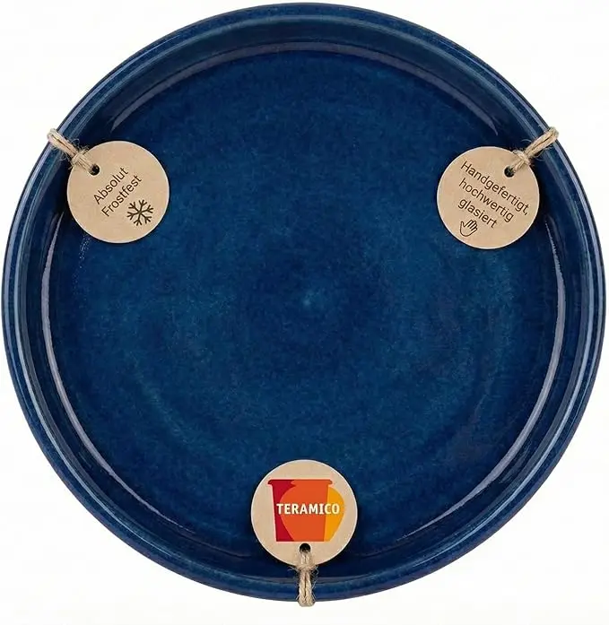 nachhaltige Vogeltränken im Vergleich: Die royalblaue Teramico Keramikschale aus Steinzeug für Vögel und Insekten.