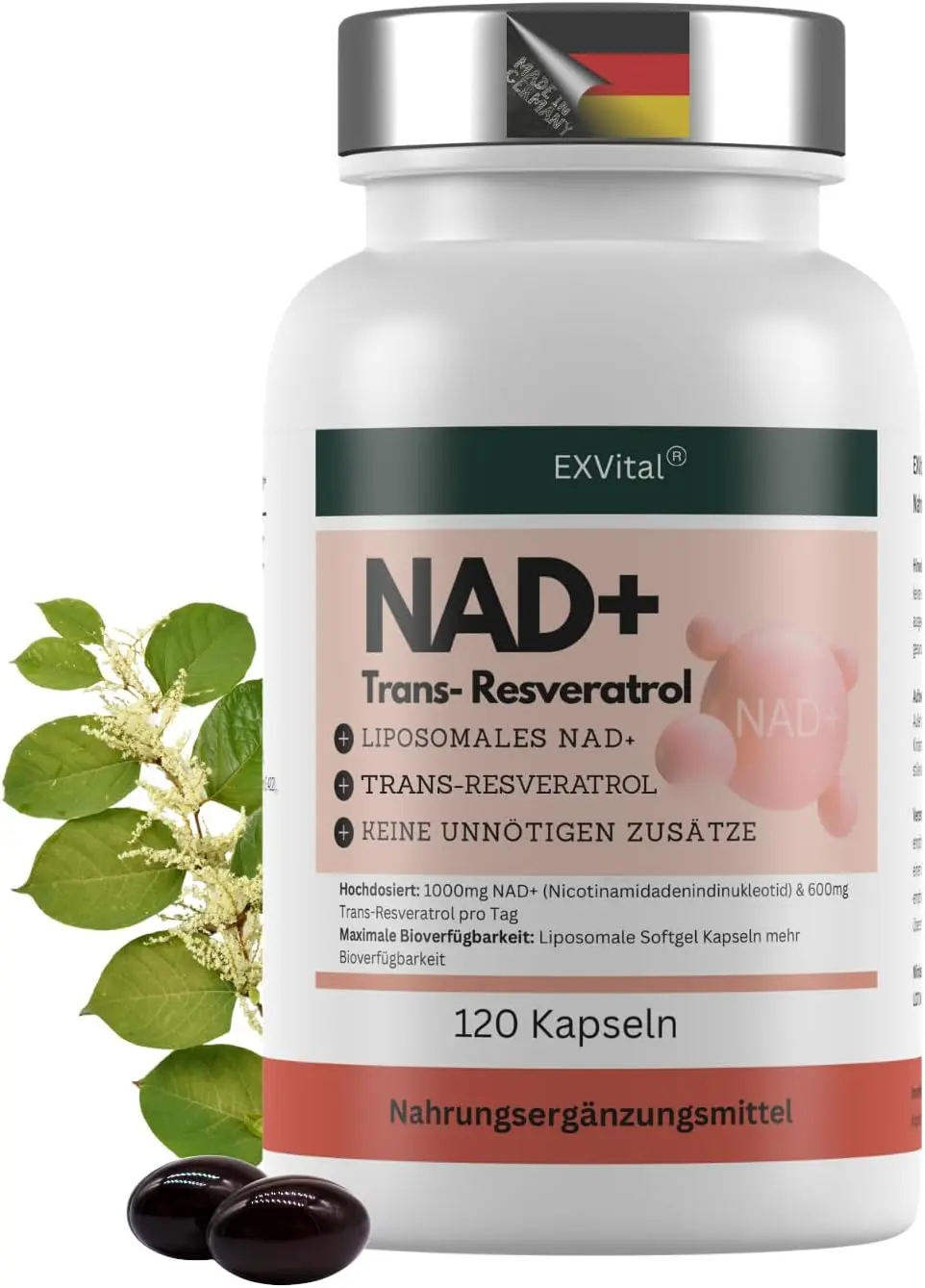 Ein technischer Check zeigt, wie nachhaltige NAD+ Präparate von EXVital durch liposomale Technologie und Trans-Resveratrol die zelluläre Regeneration unterstützen.