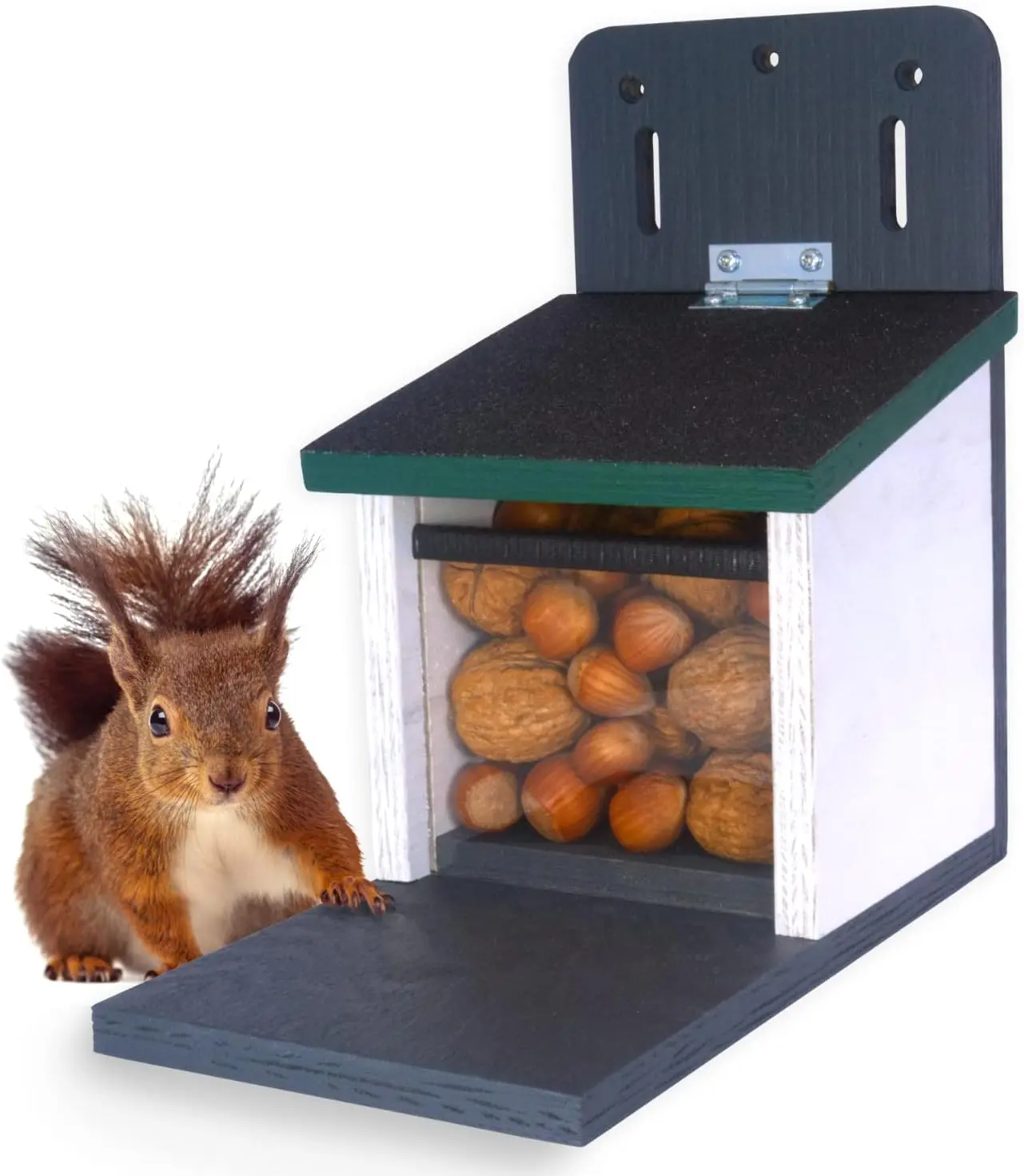 Ein fachlicher Vergleich zeigt, wie nachhaltige Eichhörnchen Futterstationen von Holznager durch ein integriertes Belüftungssystem das Futter trocken und schimmelfrei halten.