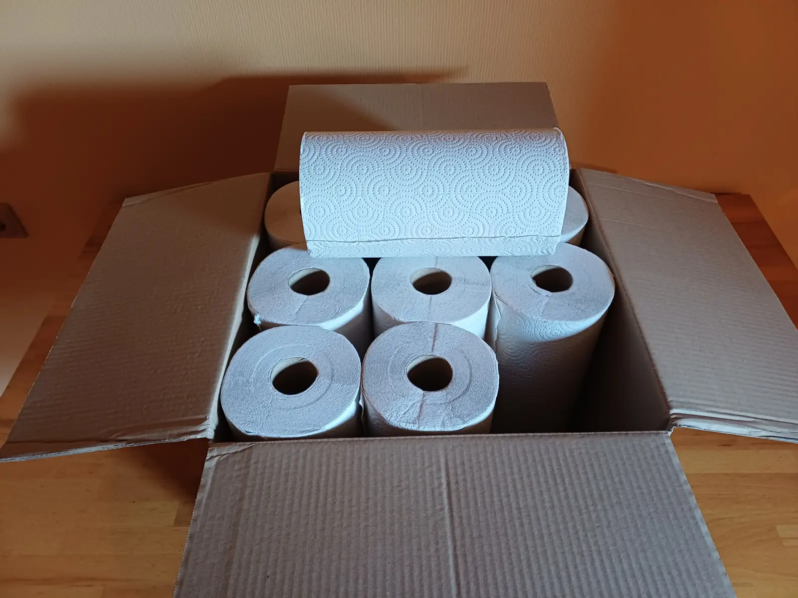 oecoLife Erfahrungen mit nachhaltigen Recycling-Küchenrollen und Kosmetiktüchern aus 100 Prozent Altpapier mit dem Blauen Engel.