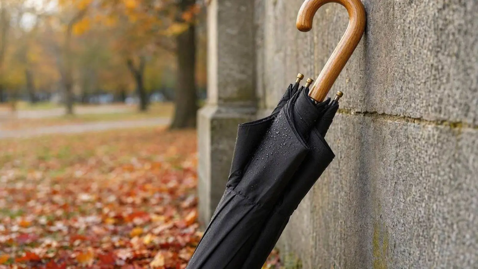 Ein fachlicher Vergleich zeigt nachhaltige Regenschirme aus robusten Materialien als langlebige Lösung gegen den Müllberg von Einweg-Schirmen.