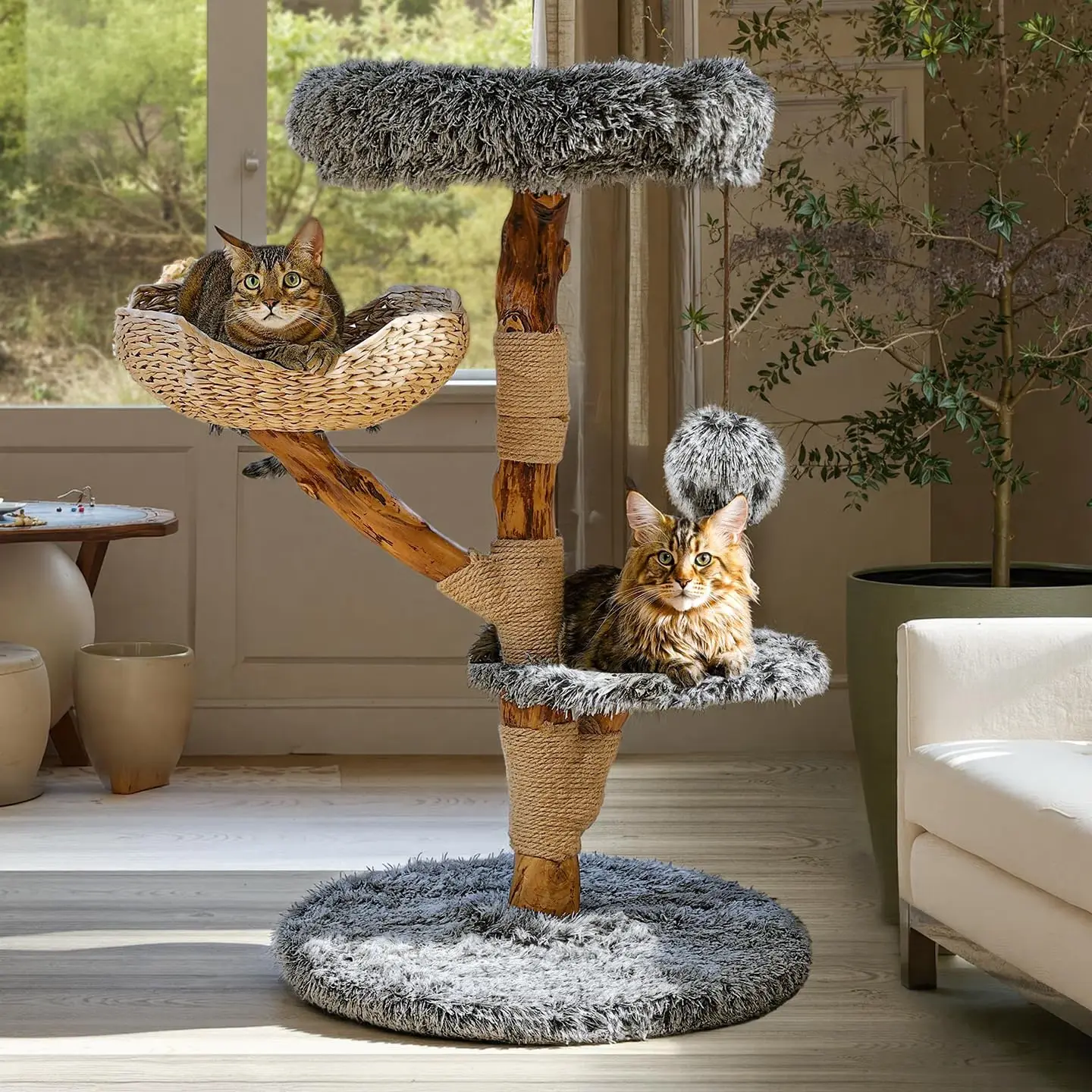 Ein fachlicher Vergleich zeigt das Sopapets Massivholz-Modell als nachhaltige Kratzbäume Lösung für schwere Katzenrassen.